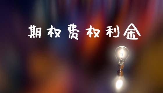 期权费权利金_https://www.fsyjjx.cn_期货资讯_第1张