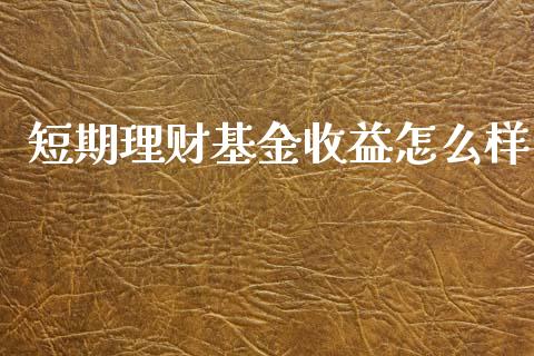 短期理财基金收益怎么样_https://www.fsyjjx.cn_问财精选_第1张