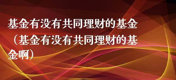 基金有没有共同理财的基金（基金有没有共同理财的基金啊）_https://www.fsyjjx.cn_理财资讯_第1张