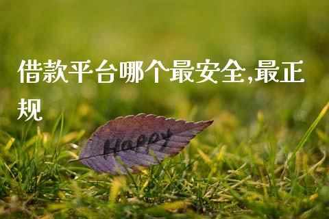 借款平台哪个最安全,最正规_https://www.fsyjjx.cn_期货研报_第1张