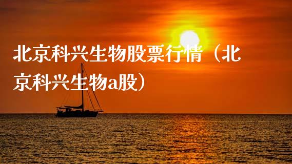 北京科兴生物股票行情（北京科兴生物a股）_https://www.fsyjjx.cn_股票指导_第1张