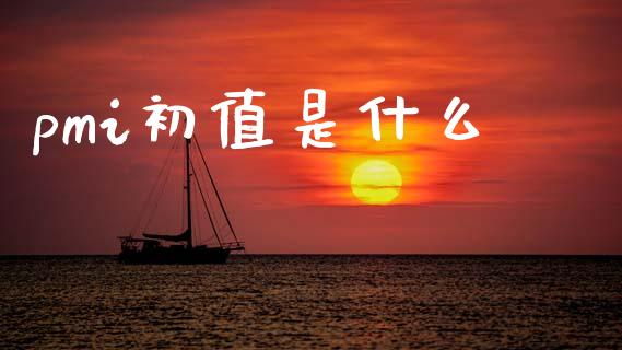 pmi初值是什么_https://www.fsyjjx.cn_股票指导_第1张
