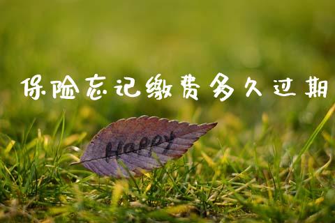 保险忘记缴费多久过期_https://www.fsyjjx.cn_理财资讯_第1张