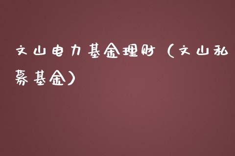 文山电力基金理财（文山私募基金）_https://www.fsyjjx.cn_问财精选_第1张