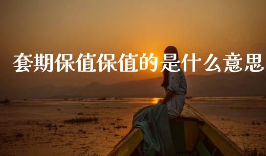 套期保值保值的是什么意思_https://www.fsyjjx.cn_股指期货_第1张