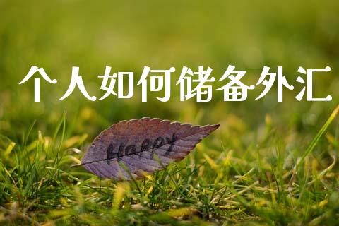 个人如何储备外汇_https://www.fsyjjx.cn_理财资讯_第1张