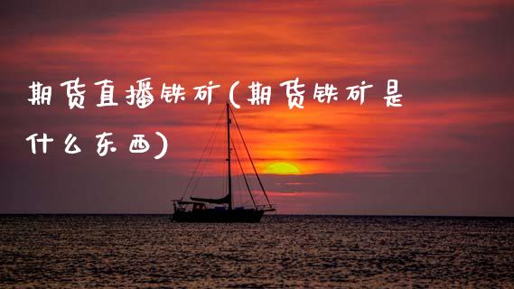 期货直播铁矿(期货铁矿是什么东西)_https://www.fsyjjx.cn_理财资讯_第1张