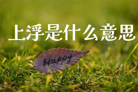上浮是什么意思_https://www.fsyjjx.cn_股指期货_第1张