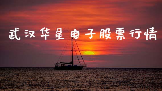 武汉华星电子股票行情_https://www.fsyjjx.cn_股市分析_第1张