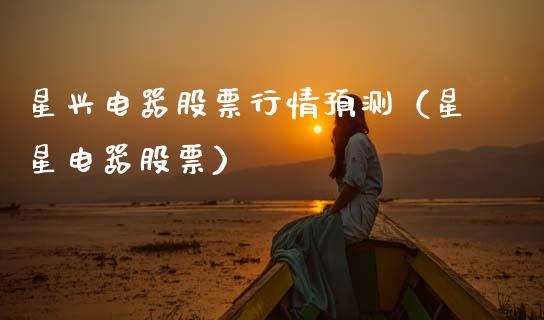 星兴电器股票行情预测（星星电器股票）_https://www.fsyjjx.cn_股市分析_第1张