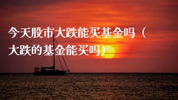 今天股市大跌能买基金吗（大跌的基金能买吗）_https://www.fsyjjx.cn_问财精选_第1张