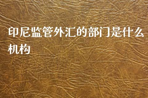印尼监管外汇的部门是什么机构_https://www.fsyjjx.cn_问财精选_第1张