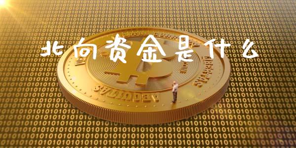 北向资金是什么_https://www.fsyjjx.cn_期货在线_第1张