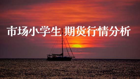 市场小学生 期货行情分析_https://www.fsyjjx.cn_期货资讯_第1张