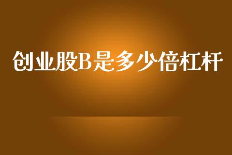 创业股B是多少倍杠杆_https://www.fsyjjx.cn_股指期货_第1张