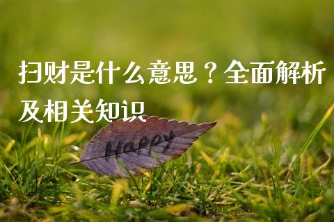 扫财是什么意思？全面解析及相关知识_https://www.fsyjjx.cn_问财精选_第1张