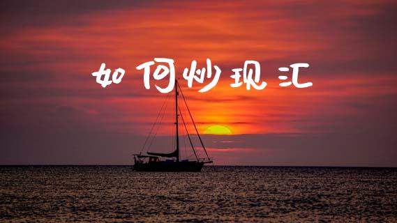 如何炒现汇_https://www.fsyjjx.cn_问财精选_第1张