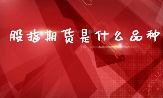 股指期货是什么品种_https://www.fsyjjx.cn_期货研报_第1张