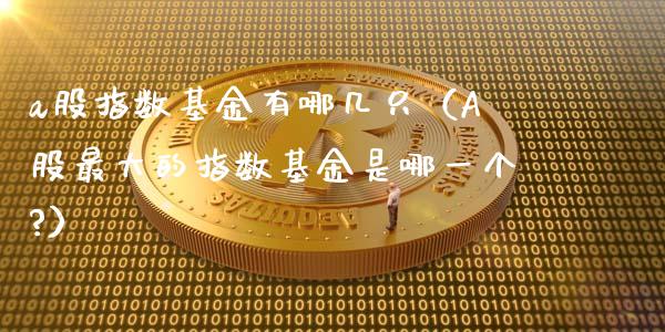 a股指数基金有哪几只（A股最大的指数基金是哪一个?）_https://www.fsyjjx.cn_理财资讯_第1张