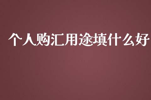 个人购汇用途填什么好_https://www.fsyjjx.cn_理财资讯_第1张