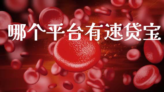哪个平台有速贷宝_https://www.fsyjjx.cn_期货资讯_第1张