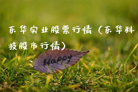 东华实业股票行情（东华科技股市行情）_https://www.fsyjjx.cn_股指期货_第1张