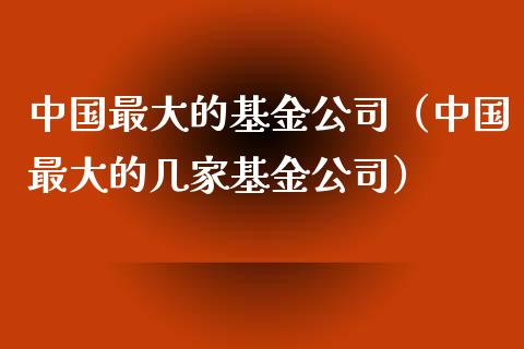 中国最大的基金公司（中国最大的几家基金公司）_https://www.fsyjjx.cn_理财资讯_第1张