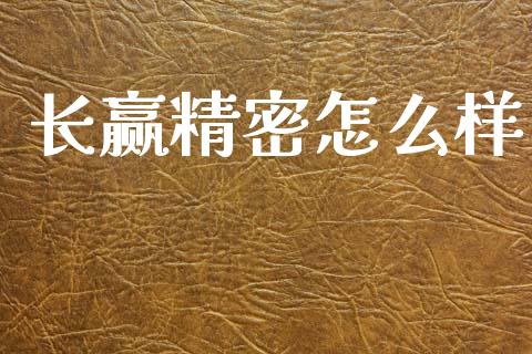 长赢精密怎么样_https://www.fsyjjx.cn_股市分析_第1张