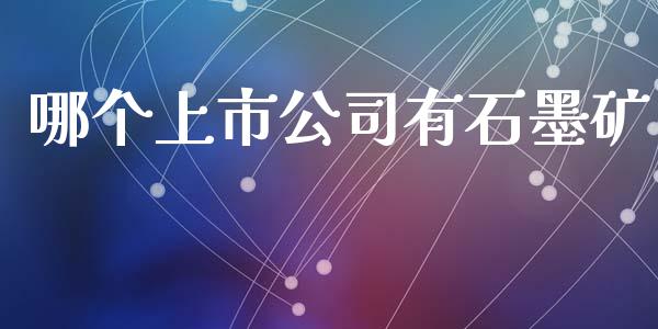 哪个上市公司有石墨矿_https://www.fsyjjx.cn_股市分析_第1张