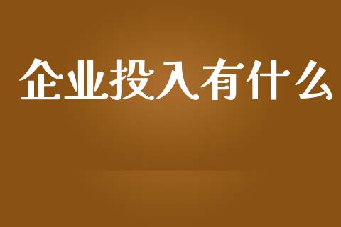 企业投入有什么_https://www.fsyjjx.cn_问财精选_第1张