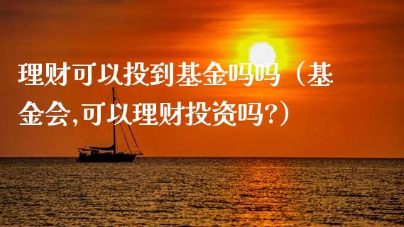理财可以投到基金吗吗（基金会,可以理财投资吗?）_https://www.fsyjjx.cn_问财精选_第1张