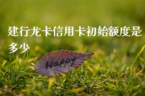 建行龙卡信用卡初始额度是多少_https://www.fsyjjx.cn_股票指导_第1张