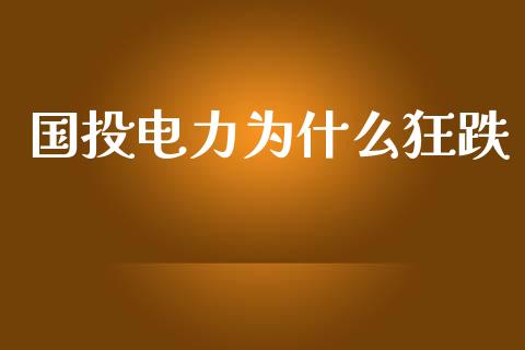 国投电力为什么狂跌_https://www.fsyjjx.cn_期货研报_第1张