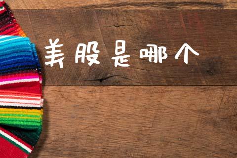 美股是哪个_https://www.fsyjjx.cn_股指期货_第1张