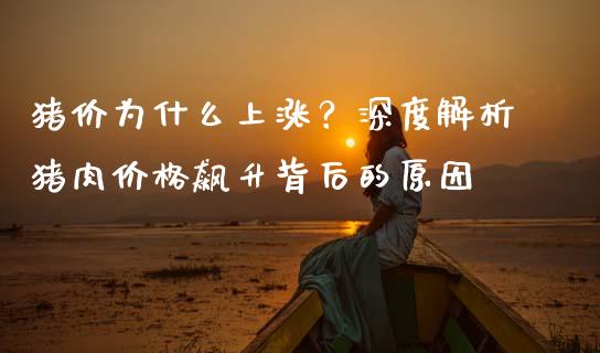 猪价为什么上涨？深度解析猪肉价格飙升背后的原因_https://www.fsyjjx.cn_问财精选_第1张