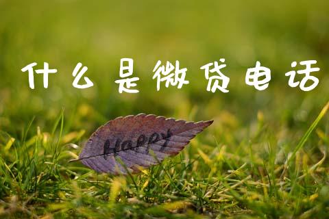 什么是微贷电话_https://www.fsyjjx.cn_问财精选_第1张