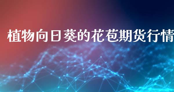 植物向日葵的花苞期货行情_https://www.fsyjjx.cn_期货资讯_第1张
