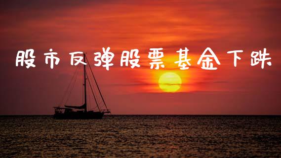 股市反弹股票基金下跌_https://www.fsyjjx.cn_问财精选_第1张
