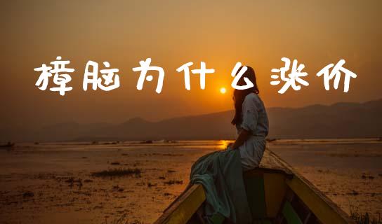樟脑为什么涨价_https://www.fsyjjx.cn_期货研报_第1张