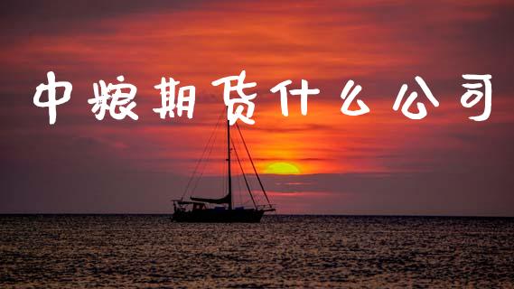 中粮期货什么公司_https://www.fsyjjx.cn_问财精选_第1张