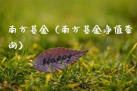 南方基金（南方基金净值查询）_https://www.fsyjjx.cn_问财精选_第1张
