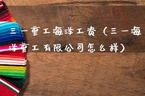 三一重工海洋工资（三一海洋重工有限公司怎么样）_https://www.fsyjjx.cn_股票指导_第1张