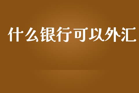 什么银行可以外汇_https://www.fsyjjx.cn_期货在线_第1张