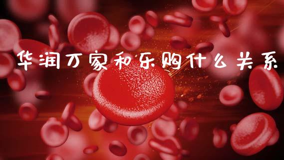 华润万家和乐购什么关系_https://www.fsyjjx.cn_股票指导_第1张