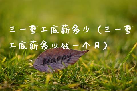 三一重工底薪多少（三一重工底薪多少钱一个月）_https://www.fsyjjx.cn_股市分析_第1张
