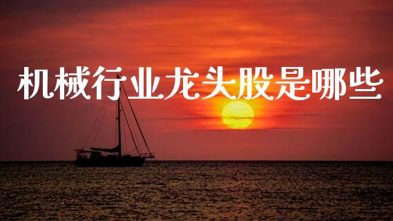 机械行业龙头股是哪些_https://www.fsyjjx.cn_股指期货_第1张