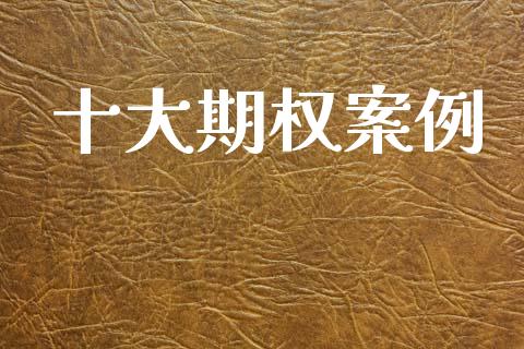 十大期权案例_https://www.fsyjjx.cn_期货研报_第1张