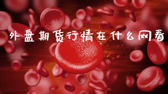 外盘期货行情在什么网看_https://www.fsyjjx.cn_期货资讯_第1张