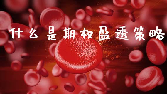 什么是期权盈透策略_https://www.fsyjjx.cn_股指期货_第1张