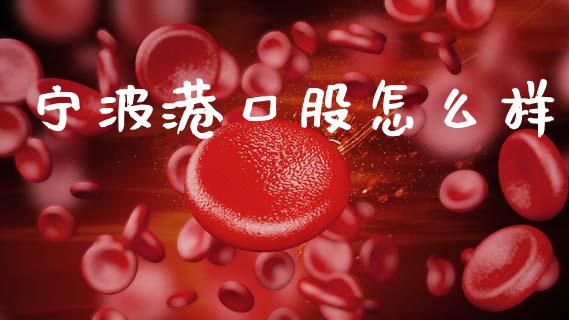 宁波港口股怎么样_https://www.fsyjjx.cn_股指期货_第1张